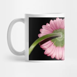 Pink Gerbera daisy Mug